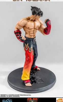 Tekken 3 - Jin Kazama 1/4 Scale Statue