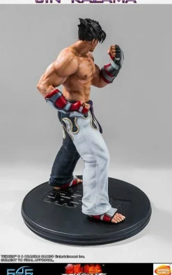 Tekken 5 - Jin Kazama 1/4 Scale Statue