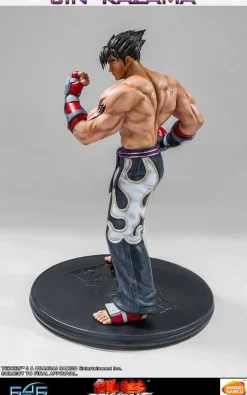 Tekken 5 - Jin Kazama 1/4 Scale Statue