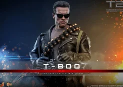 Terminator 2: Judgment Day - T-800 (2.0) 1/6th Scale Hot Toys Action Figure