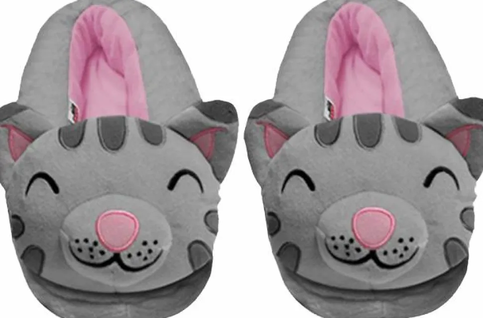 The Big Bang Theory - Soft Kitty Slippers