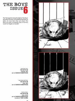 The Boys - The Art of The Boys: The Complete Covers by Darick Robertson Hardcover Book