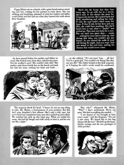 The EC Archives - Shock Illustrated Hardcover Book