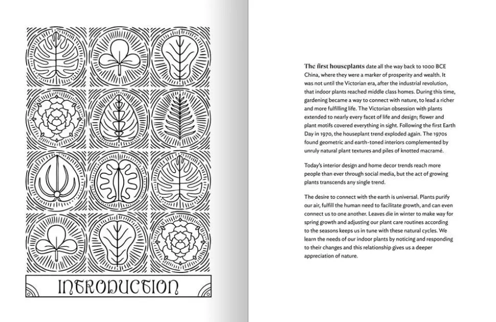 The Happy Houseplant Colouring Book by Caitlin Keegan Paperback Book