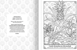 The Happy Houseplant Colouring Book by Caitlin Keegan Paperback Book