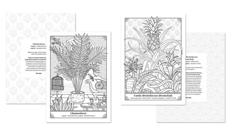 The Happy Houseplant Colouring Book by Caitlin Keegan Paperback Book