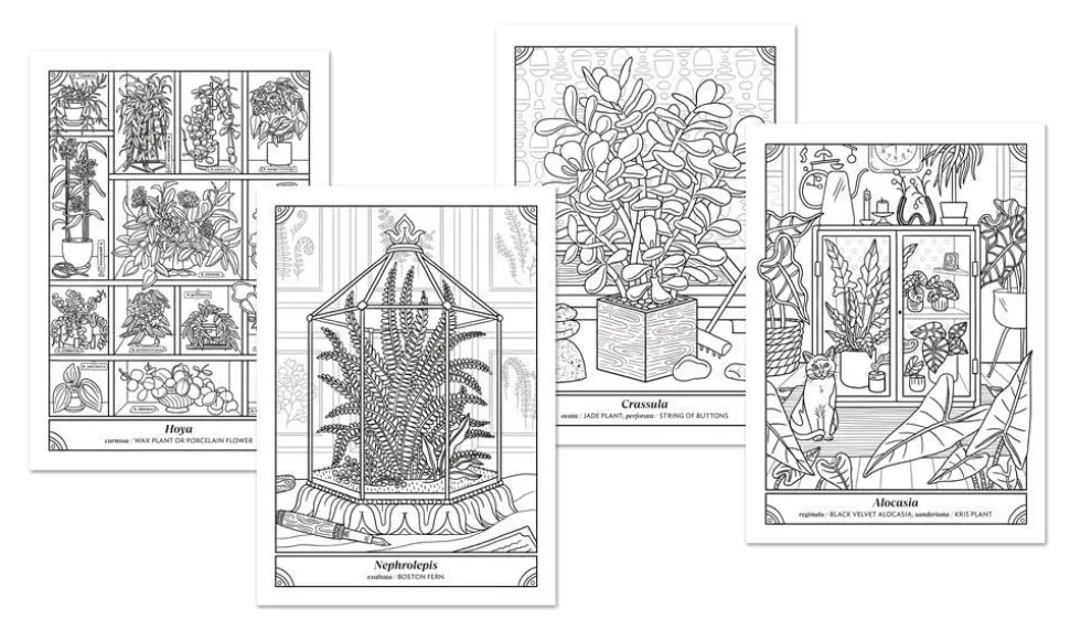 The Happy Houseplant Colouring Book by Caitlin Keegan Paperback Book