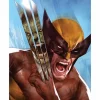 The Incredible Hulk - The Incredible Hulk vs. Wolverine Fine Art Print by Ben Oliver