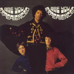 The Jimi Hendrix Experience - Are You Experienced 2xLP Vinyl Record