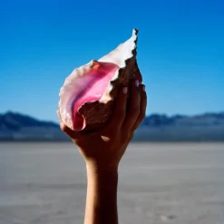 The Killers - Wonderful Wonderful LP Vinyl Record