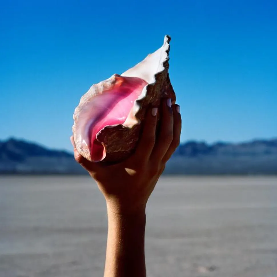 The Killers - Wonderful Wonderful LP Vinyl Record