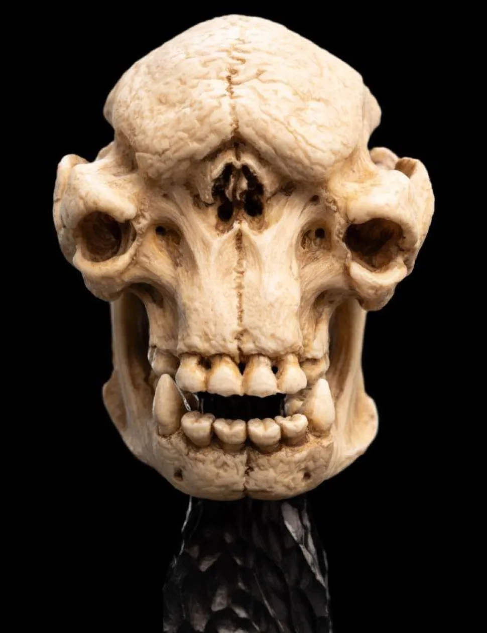 The Lord of the Rings - Skull of a Cave Troll Miniature Skull 6.5" Scaled Replica Statue