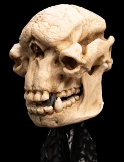 The Lord of the Rings - Skull of a Cave Troll Miniature Skull 6.5