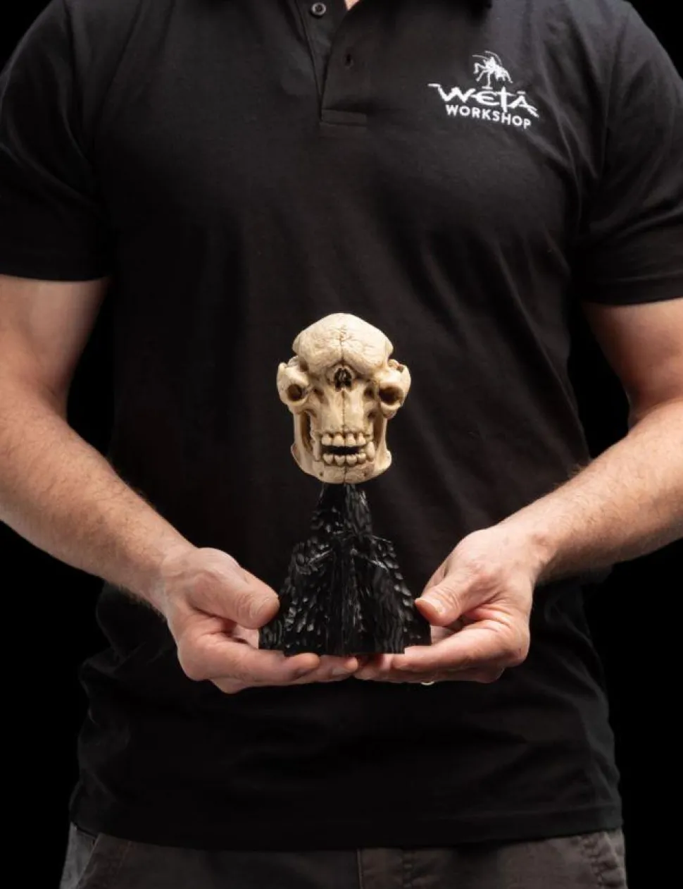 The Lord of the Rings - Skull of a Cave Troll Miniature Skull 6.5" Scaled Replica Statue