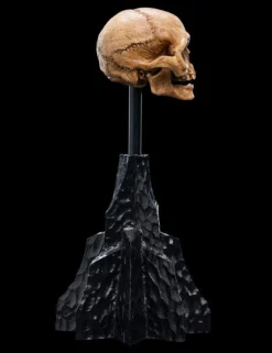 The Lord of the Rings - Skull of Gollum Miniature Skull 5