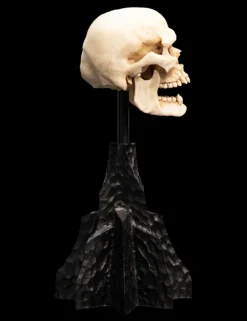 The Lord of the Rings - Skull of a Mordor Orc 6