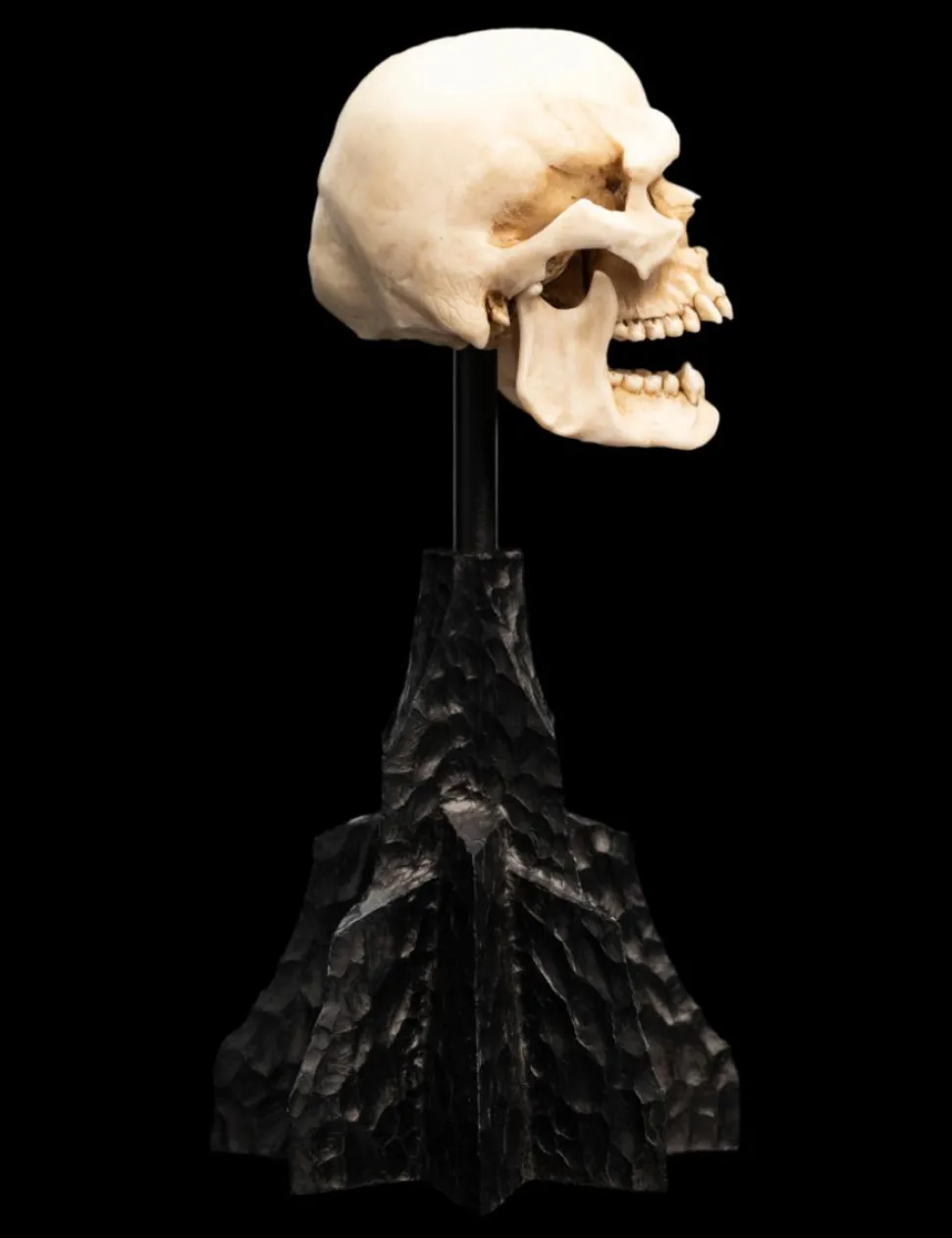 The Lord of the Rings - Skull of a Mordor Orc 6" Scaled Replica Statue