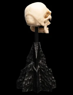 The Lord of the Rings - Skull of a Mordor Orc 6