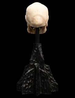 The Lord of the Rings - Skull of a Mordor Orc 6