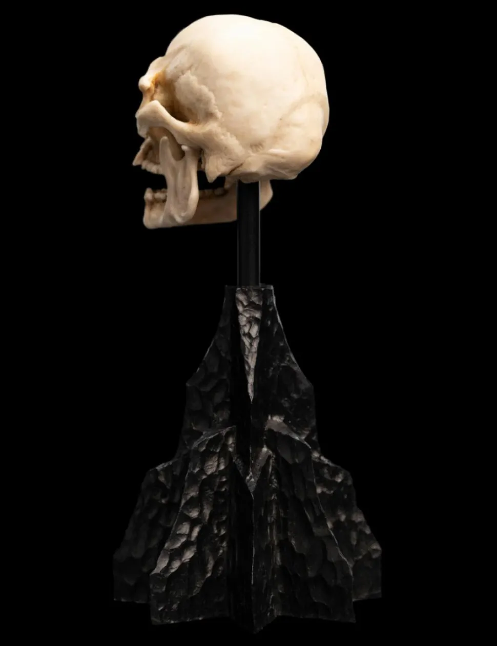 The Lord of the Rings - Skull of a Mordor Orc 6" Scaled Replica Statue