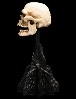 The Lord of the Rings - Skull of a Mordor Orc 6