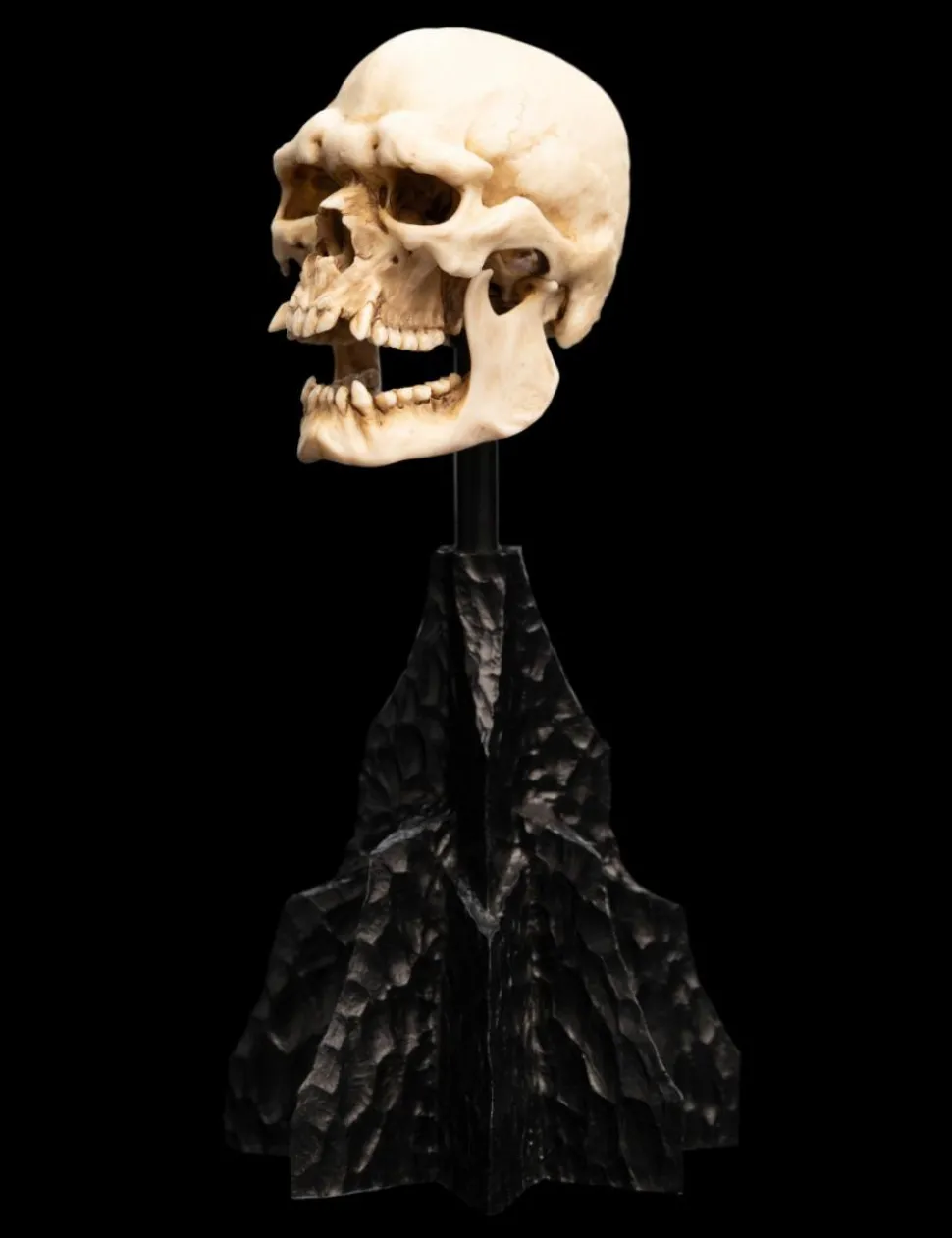 The Lord of the Rings - Skull of a Mordor Orc 6" Scaled Replica Statue