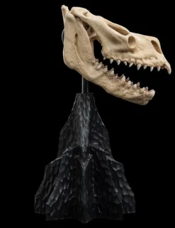 The Lord of the Rings - Skull of a Fell Beast Miniature Skull 8