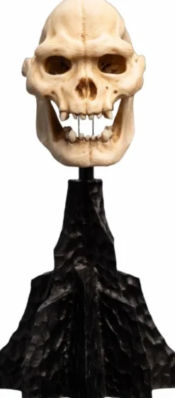The Lord of the Rings - Skull of Lurtz Miniature Skull 6" Scaled Replica Statue