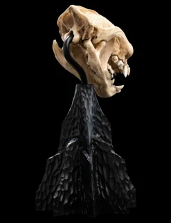 The Lord of the Rings - Skull of a Warg 8