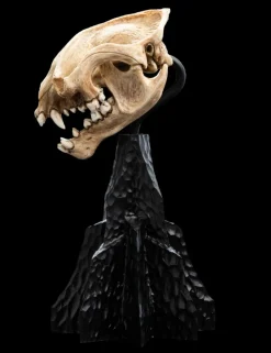 The Lord of the Rings - Skull of a Warg 8