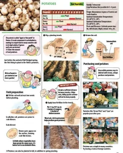 The Manga Guide to Organic Vegetable Gardening: Detailed Tips for Growing 50 Types of Vegetables, Fruits and Herbs Paperback Book