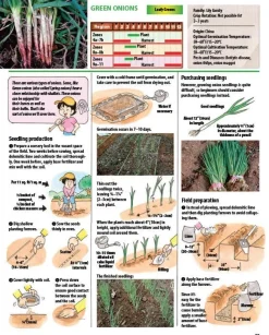 The Manga Guide to Organic Vegetable Gardening: Detailed Tips for Growing 50 Types of Vegetables, Fruits and Herbs Paperback Book