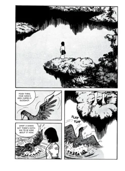 The Swamp by Yoshiharu Tsuge Manga Hardcover Book