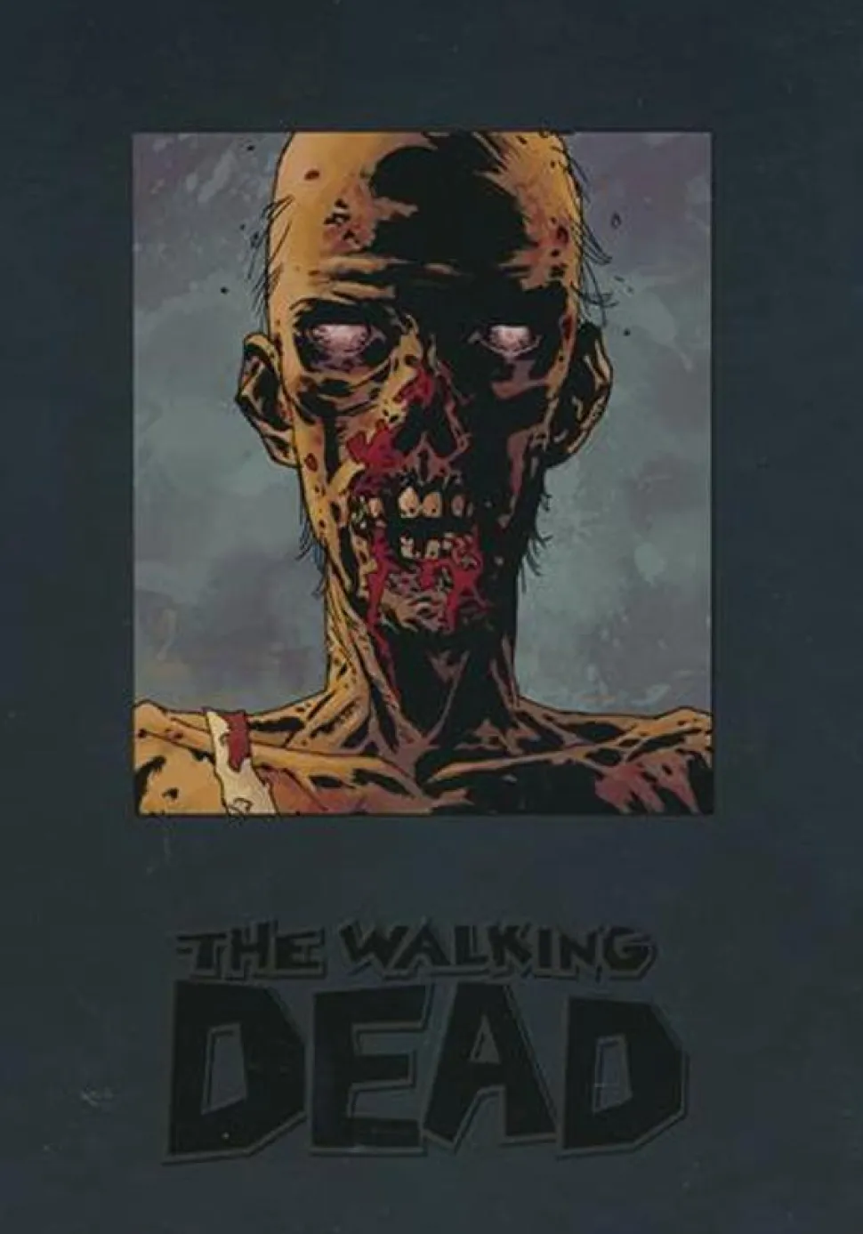 The Walking Dead - Omnibus Volume 08 Hardcover Book