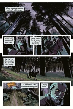 The Witcher - Volume 05 Fading Memories Trade Paperback Book