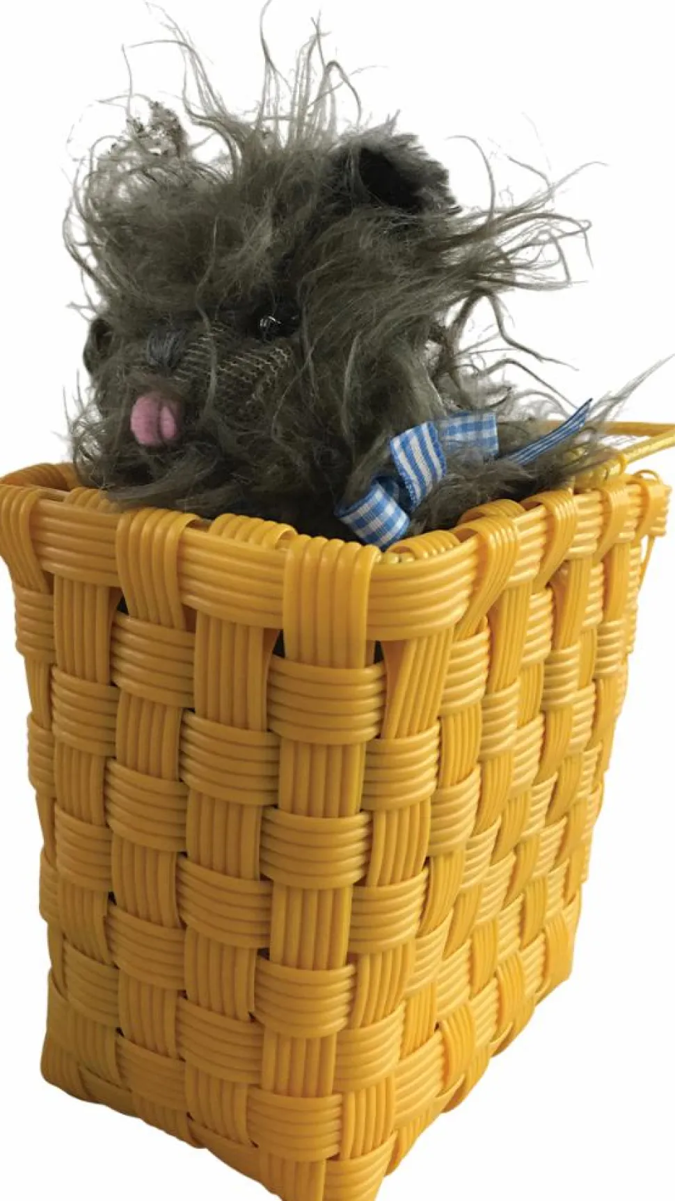 The Wizard of Oz (1939) - Toto in a Basket Costume Accessory