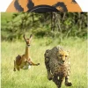 Thundercat & Tame Impala - No More Lies 7" Single Vinyl Record (Leopard Print Vinyl)