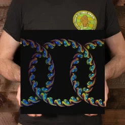 Tool - Lateralus 2xLP Vinyl Record (Picture Disc)