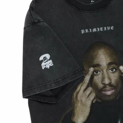 Tupac - Tupac x Primitive Icon Black Heavyweight T-Shirt