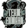 Twilight Saga: Enamel Team Edward Lapel Pin