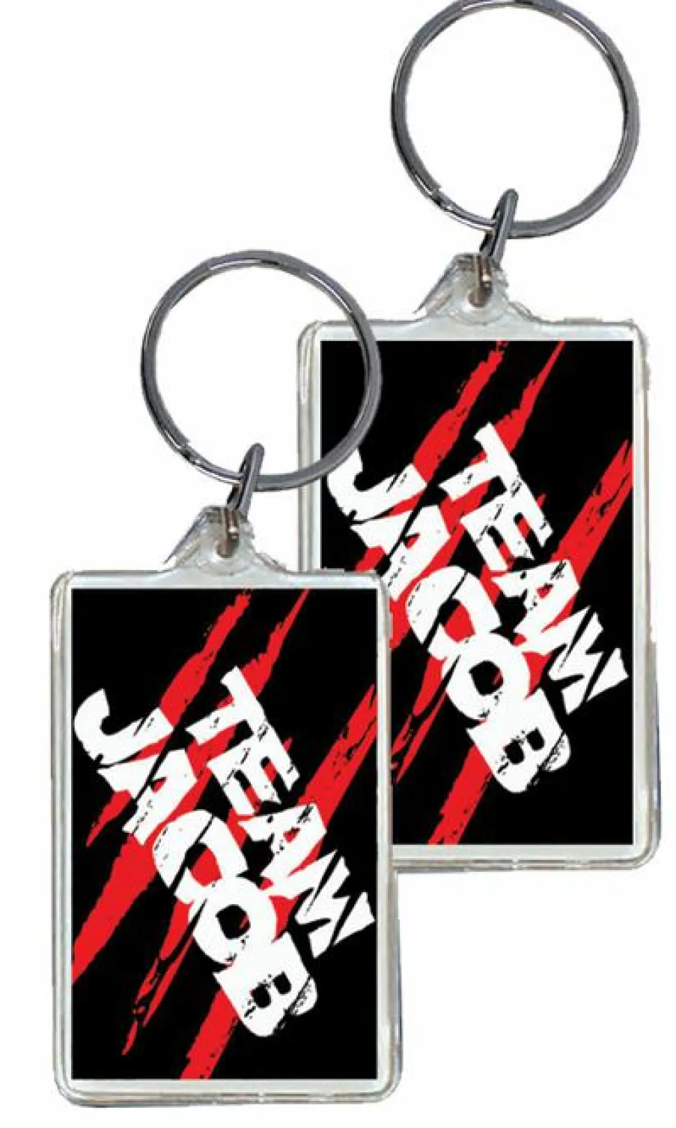 Twilight Saga: Lucite Keychain E - Team Jacob