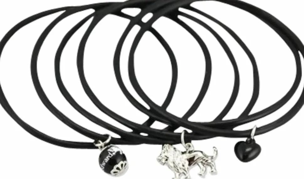 Twilight Saga: New Moon - Edward & Lion Jelly Bangle With Charms