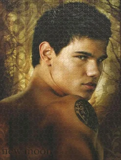Twilight Saga: New Moon - Jacob Black Jigsaw Puzzle