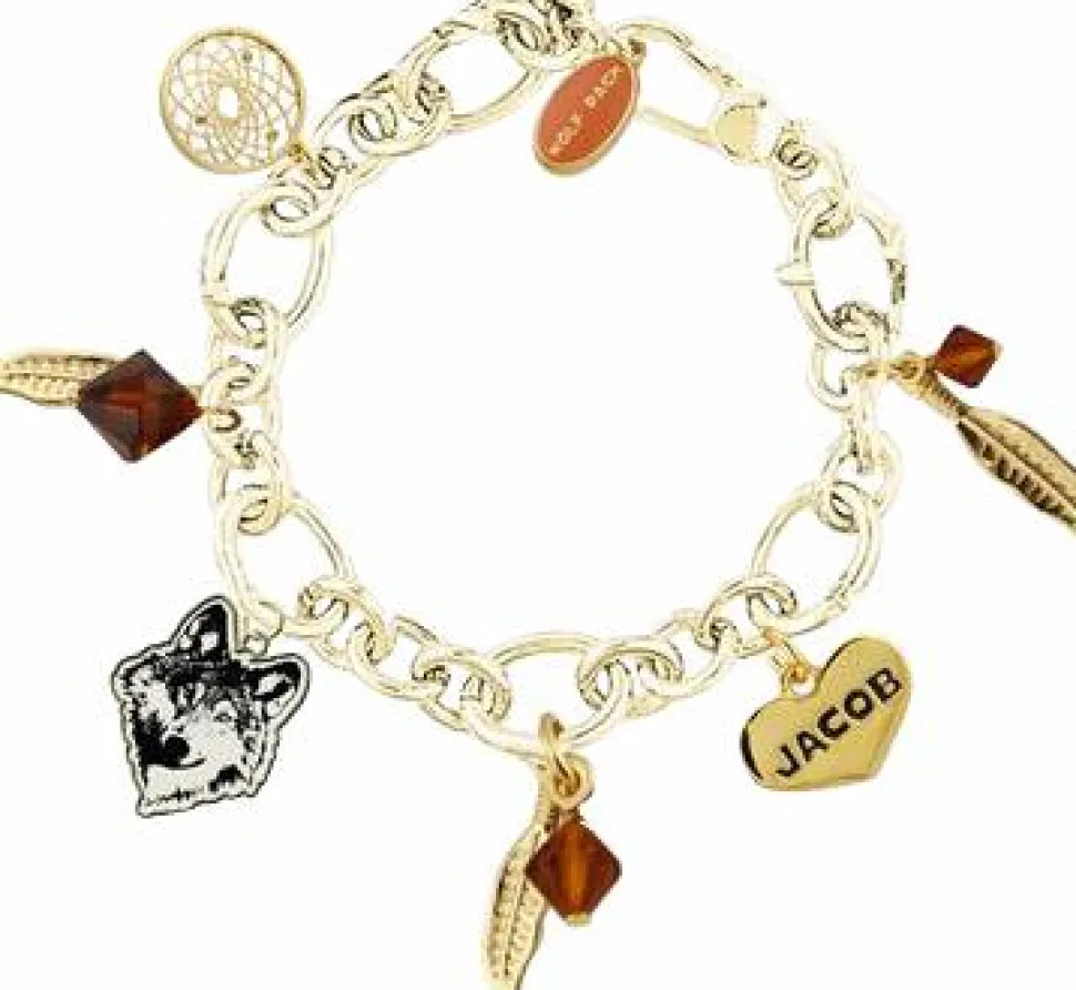 Twilight Saga: New Moon Jewellery Charm Bracelet Feather Circle