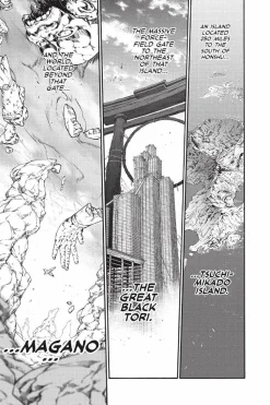 Twin Star Exorcists - Volume 21 Manga Paperback Book