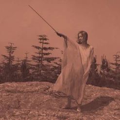 Unknown Mortal Orchestra - II LP Vinyl Record