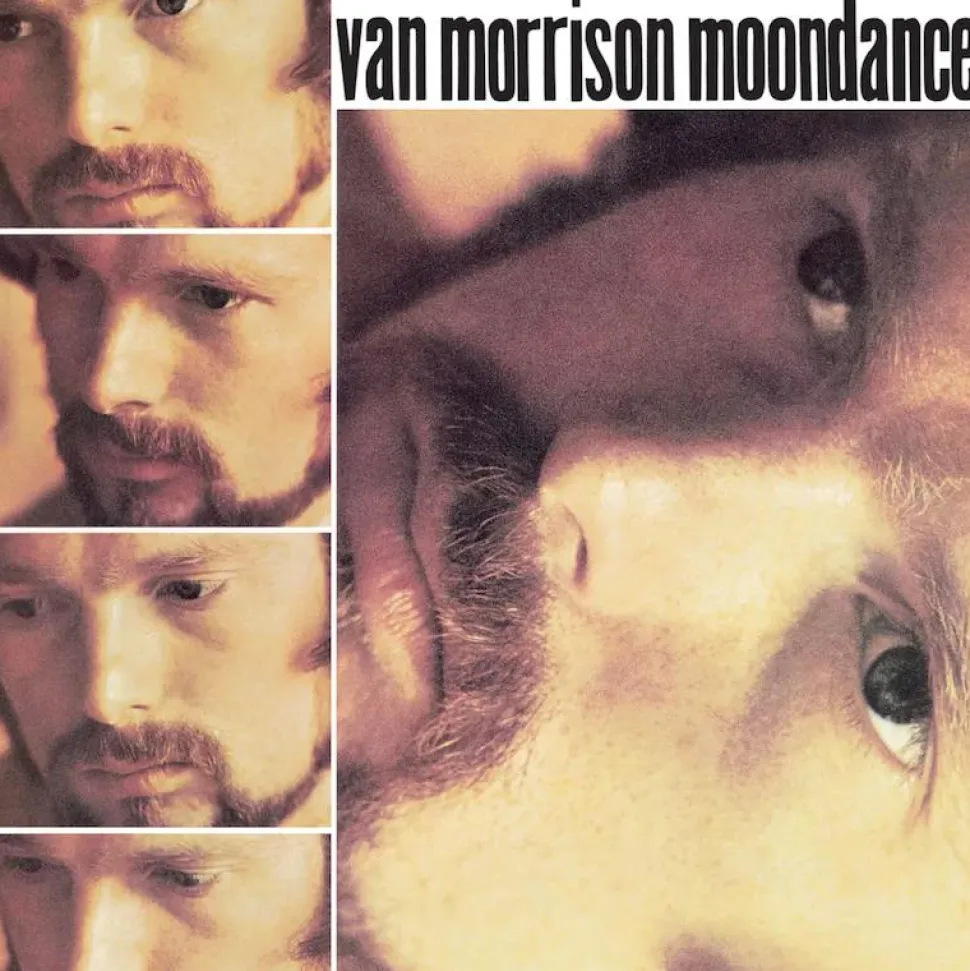 Van Morrison - Moondance LP Vinyl Record