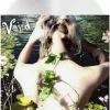 Voiid - Watering Dead Flowers LP Vinyl Record (White Vinyl)