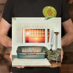 Wallows - Model LP Vinyl Record (Clear Vinyl)