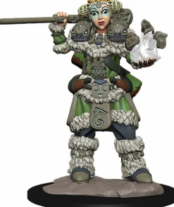 Wardlings - Girl Druid & Stone Creature Pre-Painted Miniature Figure 2-Pack (Wave 2)
